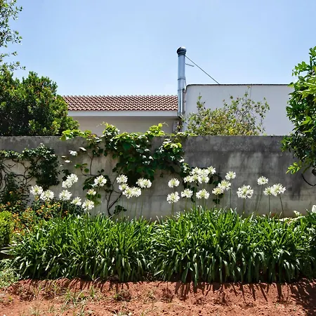 Villa Maroby Garden & Parking - Selection