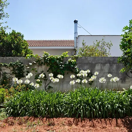 Villa Maroby - Garden & Parking